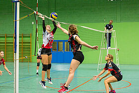 Volley Dames