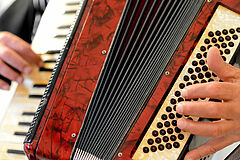 516893300 Someone who plays the accordion