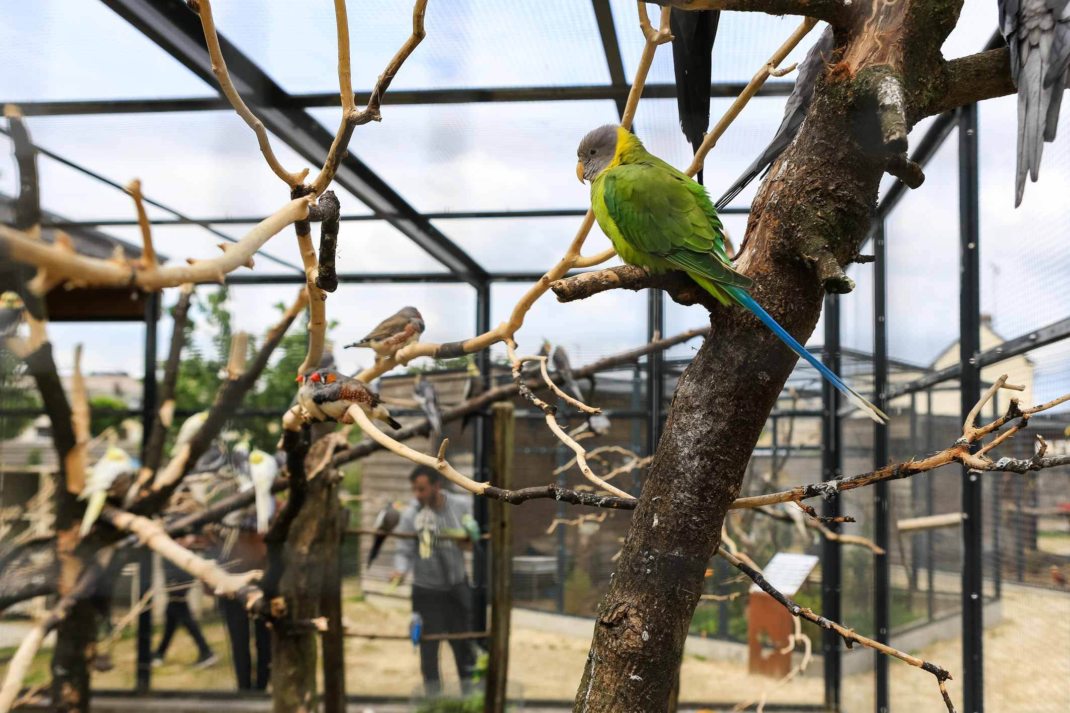 Jardin des Oiseaux - Ville de Petit-Quevilly